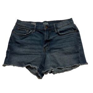 HIGH-RISE Cut Off DENIM Shorts 3.5" Inseam Stretch Women’s Size 8